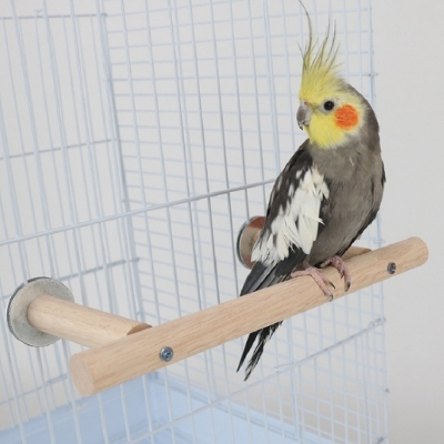 Picture of pet bird parch stand bird parch bird accessories bird products