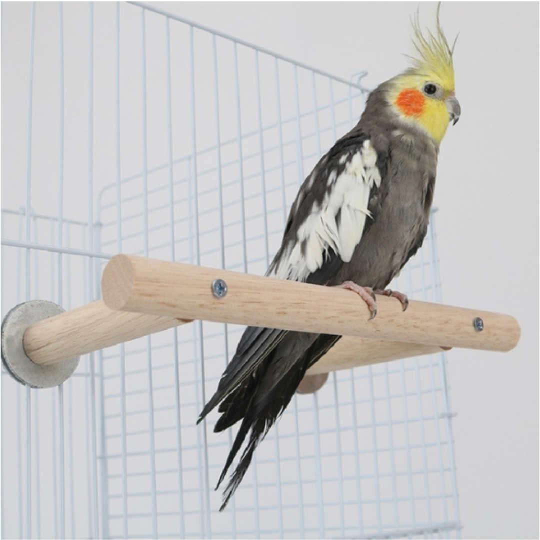 Picture of pet bird parch stand bird parch bird accessories bird products