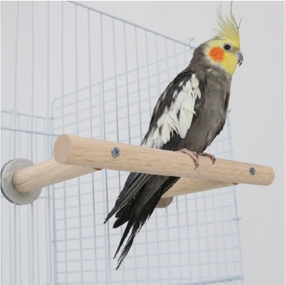 Picture of pet bird parch stand bird parch bird accessories bird products