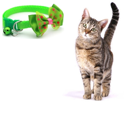 Picture of adjustable cat collar bell cat kitten dog puppy bell pet products pet accessories
