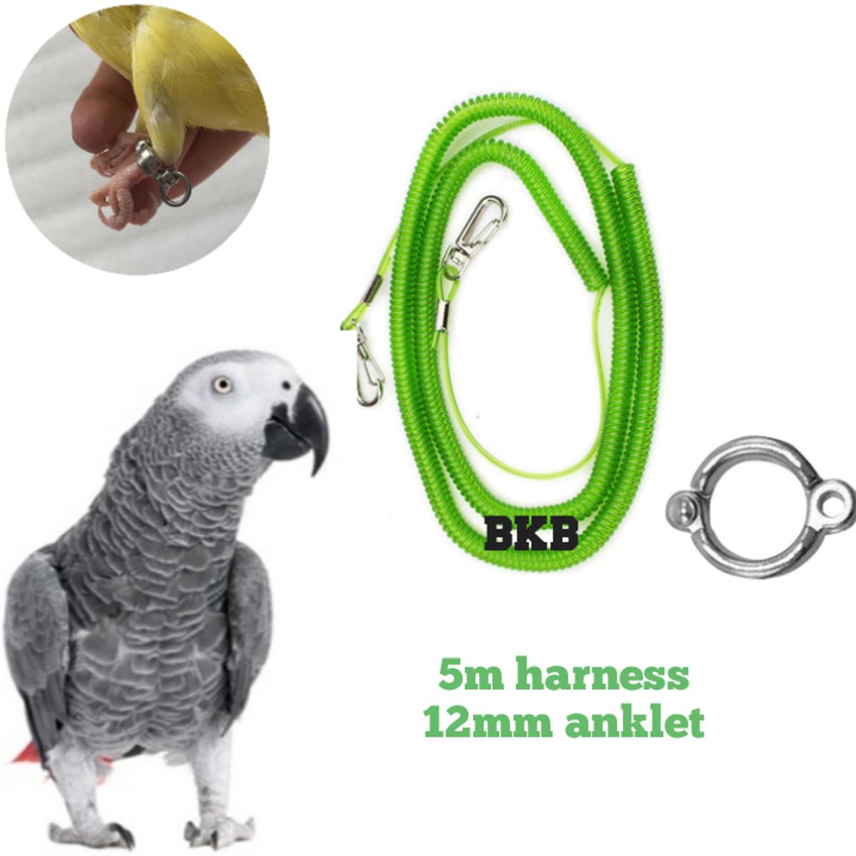 Picture of anklet foot ring 12mm with spring harness lash for bird 5miter {full set}