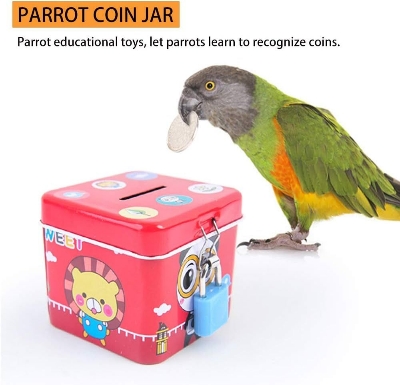 Picture of pet bird coin box toy pet bird products bird accessories
