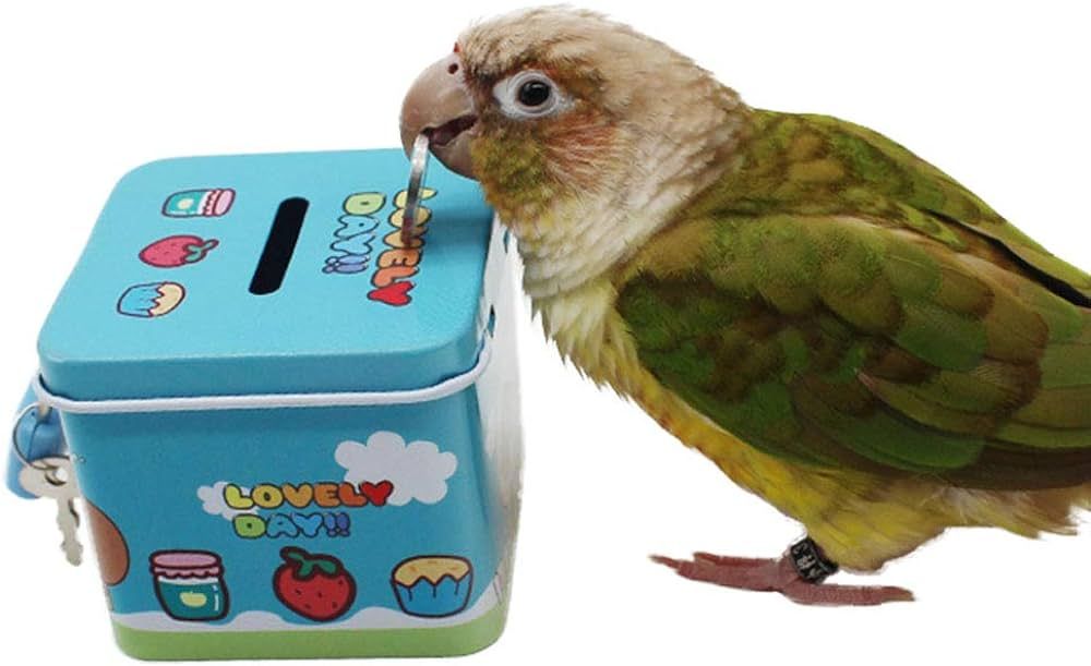 Picture of pet bird coin box toy pet bird products bird accessories