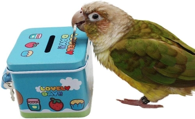 Picture of pet bird coin box toy pet bird products bird accessories