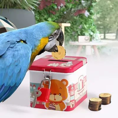 Picture of pet bird coin box toy pet bird products bird accessories