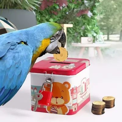 Picture of pet bird coin box toy pet bird products bird accessories