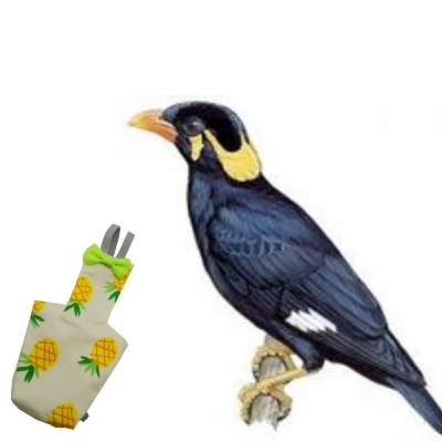 Picture of mayna the black bird diaper dress washable fabrics adjustable diaper dress pet bird products