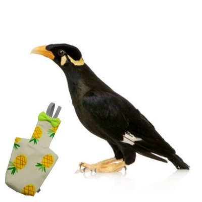 Picture of mayna the black bird diaper dress washable fabrics adjustable diaper dress pet bird products