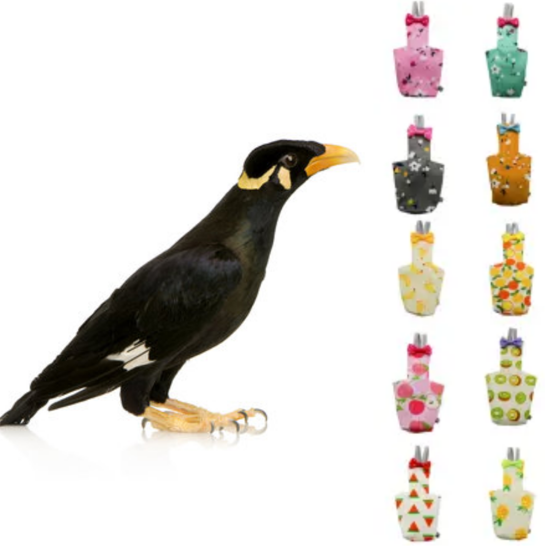 Picture of mayna the black bird diaper dress washable fabrics adjustable diaper dress pet bird products