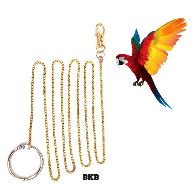 Picture of Metal Foot Chain Harness and Leash for Bird Parrot Budgies Cockatiels lovebirds