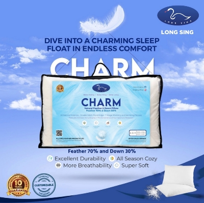 Buy Charm at Best Price In Bangladesh