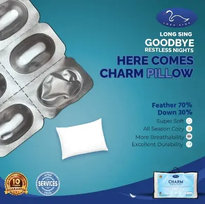 Buy Charm at Best Price In Bangladesh