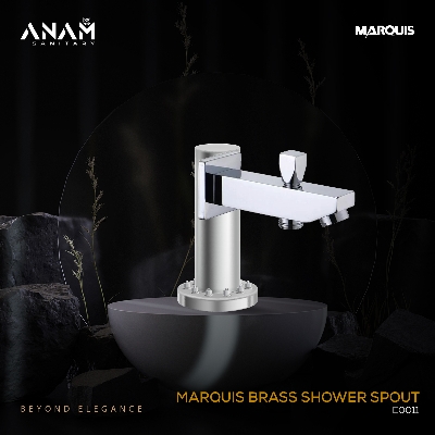 Picture of Marquis Brass Shower Spout E0011