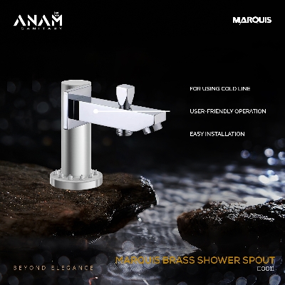 Picture of Marquis Brass Shower Spout E0011