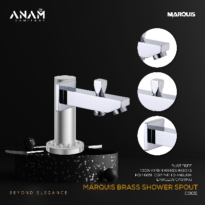 Picture of Marquis Brass Shower Spout E0011