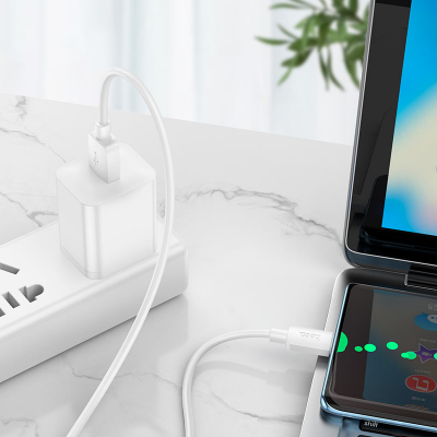 Picture of Hoco X96 Hyper 27W Fast charging data cable Type-C