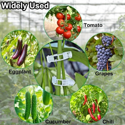 Picture of Tomato Clips for String Trellis 50 Pcs