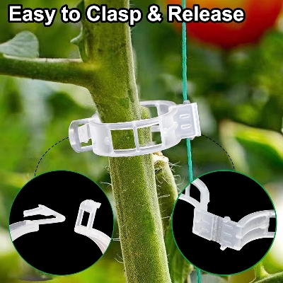 Picture of Tomato Clips for String Trellis 50 Pcs