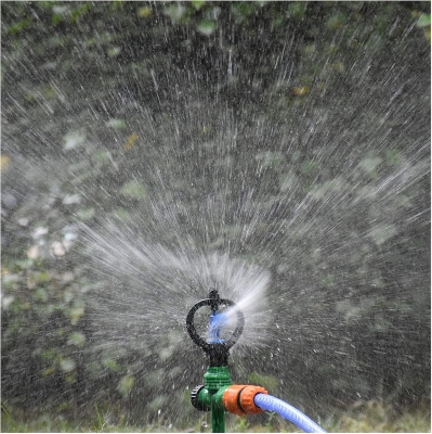 Picture of External Thread Butterfly Rotating Sprinkler 1/2 Inch