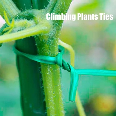 Picture of Plant Ties for Climbing Plants 50 Pcs 6 inchi