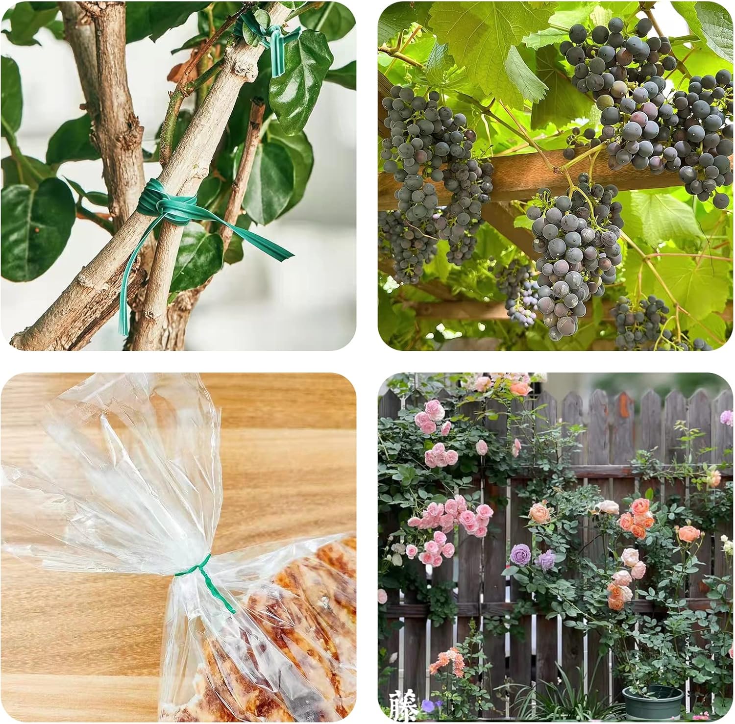 Picture of Plant Ties for Climbing Plants 50 Pcs 6 inchi