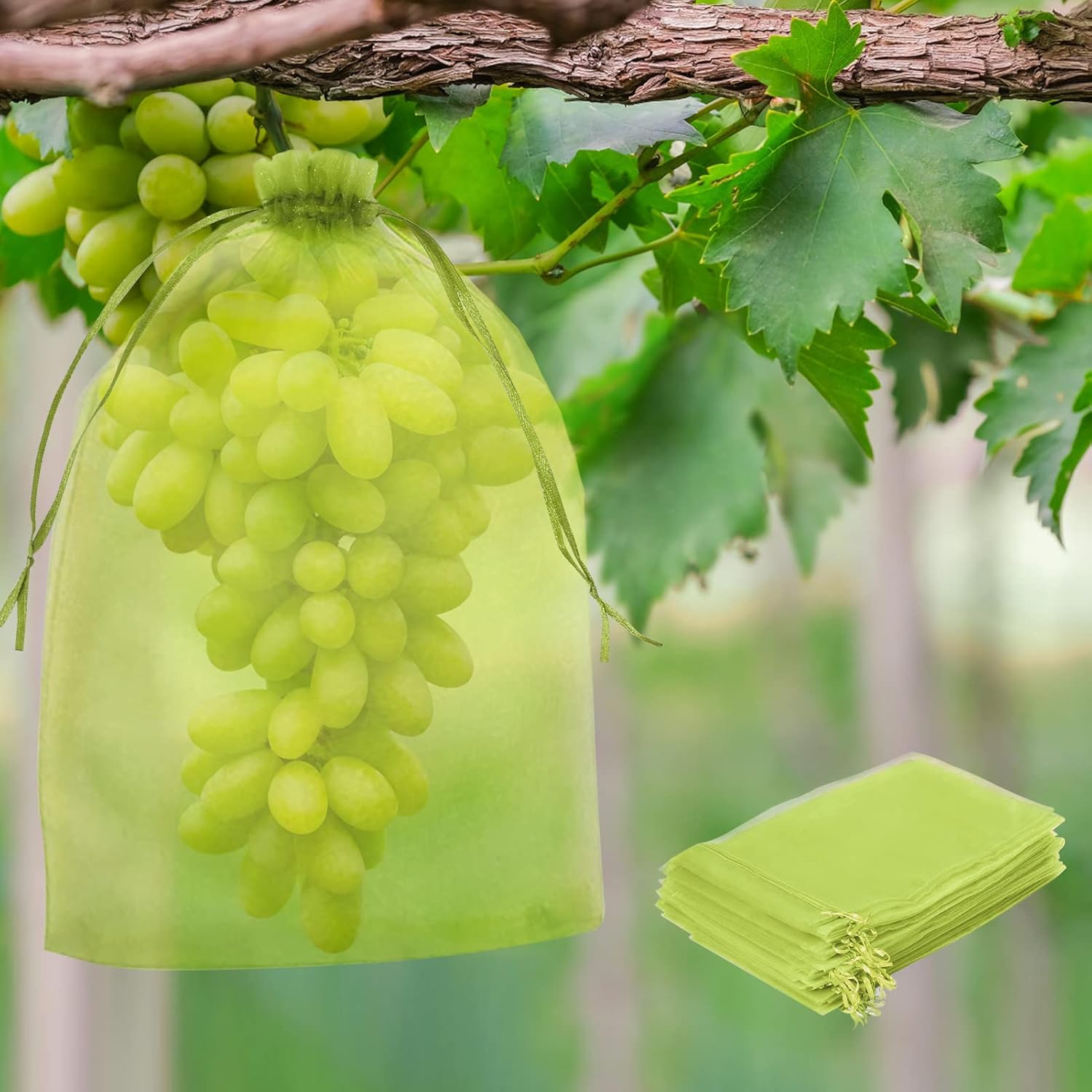 Picture of Fruit Protection Bag (15*20cm)Garden Insect-proof And Bird-proof Bagging 10 Pcs
