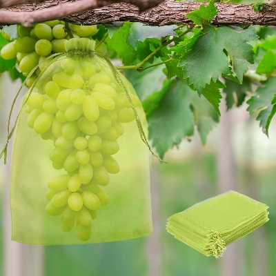 Picture of Fruit Protection Bag (15*20cm)Garden Insect-proof And Bird-proof Bagging 10 Pcs