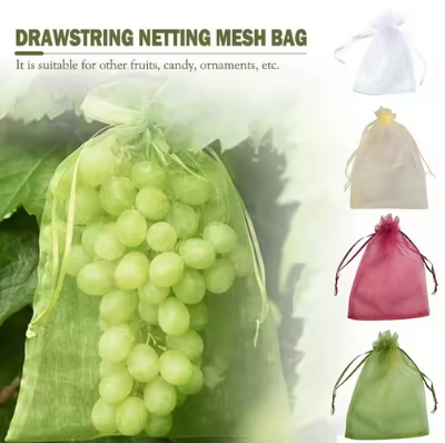 Picture of Fruit Protection Bag (15*20cm)Garden Insect-proof And Bird-proof Bagging 10 Pcs