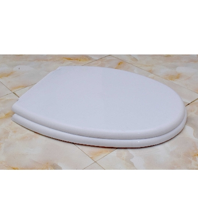 Picture of RAK KARLA Model High Commode Seat Cover with Fittings