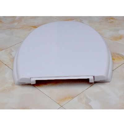 Picture of RAK KARLA Model High Commode Seat Cover with Fittings