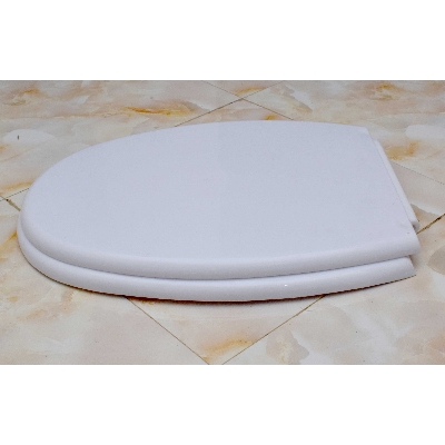 Picture of RAK KARLA Model High Commode Seat Cover with Fittings