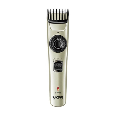 Picture of VGR V-031 Professional Trimmer For Men