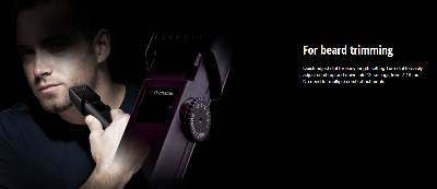 Picture of Panasonic ER2031 Beard and Hair Trimmer for Men