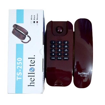 Picture of Hellotel TS-250 Professional TNT Landline phone set/ Apartment intercom set (Sim not supported)