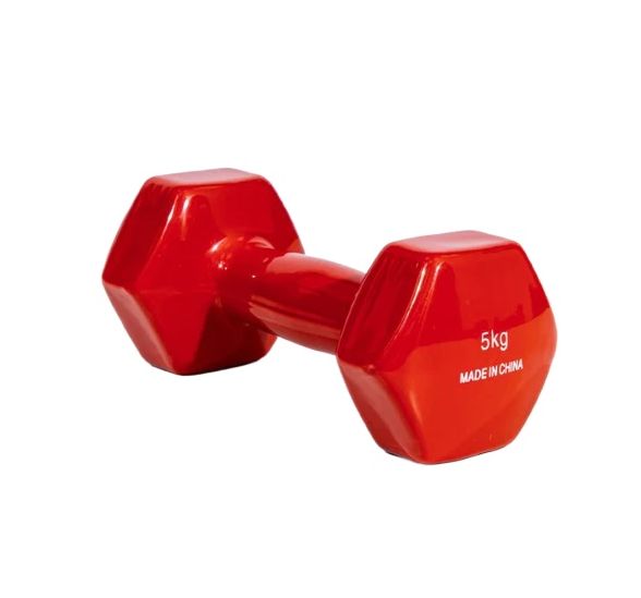 Picture of Premium Quality 5kg Vinyl Dumbbell 1 pcs ( 4 color available ) – Sports & Fitness