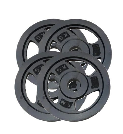 Picture of 20kg Dumbbell Plate 4 Pcs - Sports & Fitness