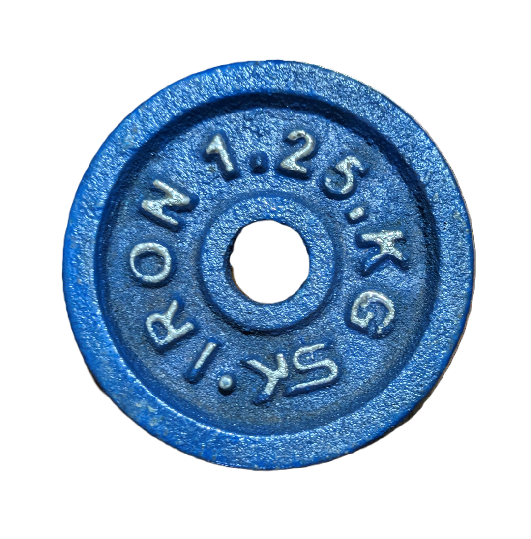 Picture of 1.25kg Dumbbell Plate 1 Pcs - Blue - Sports & Fitness