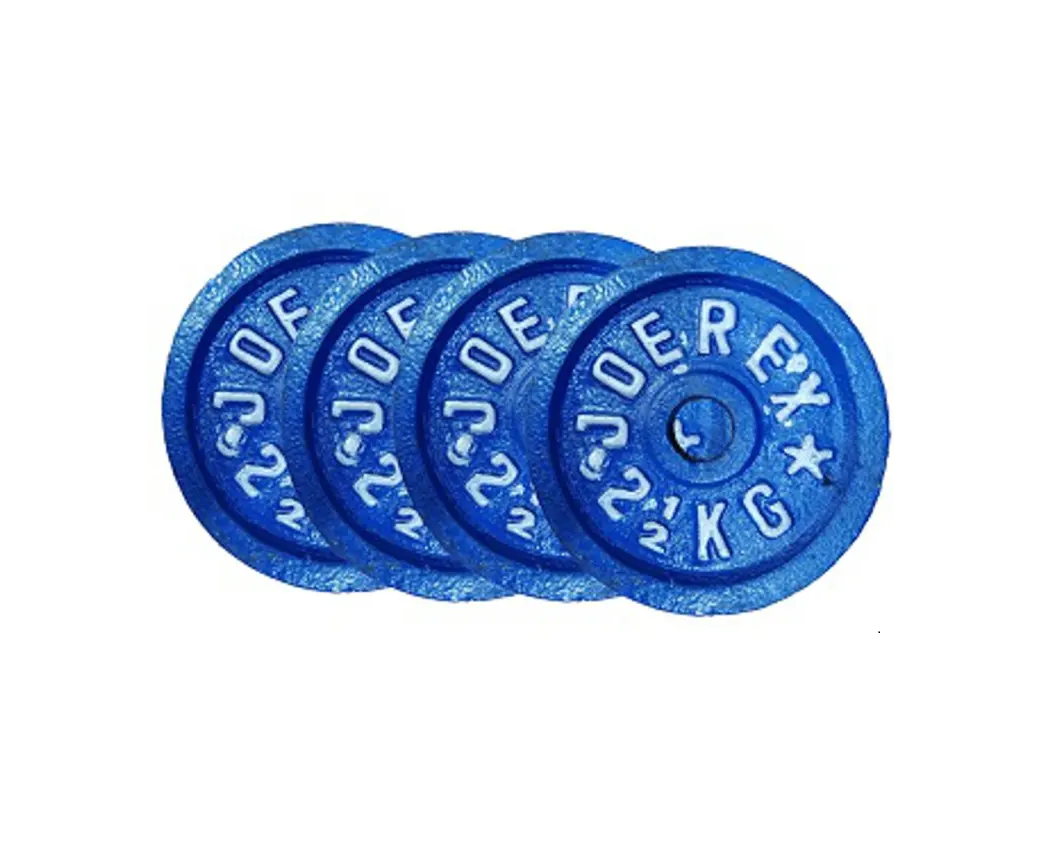 Picture of 2.5kg Dumbbell Plate 4 Pcs - Blue - Sports & Fitness