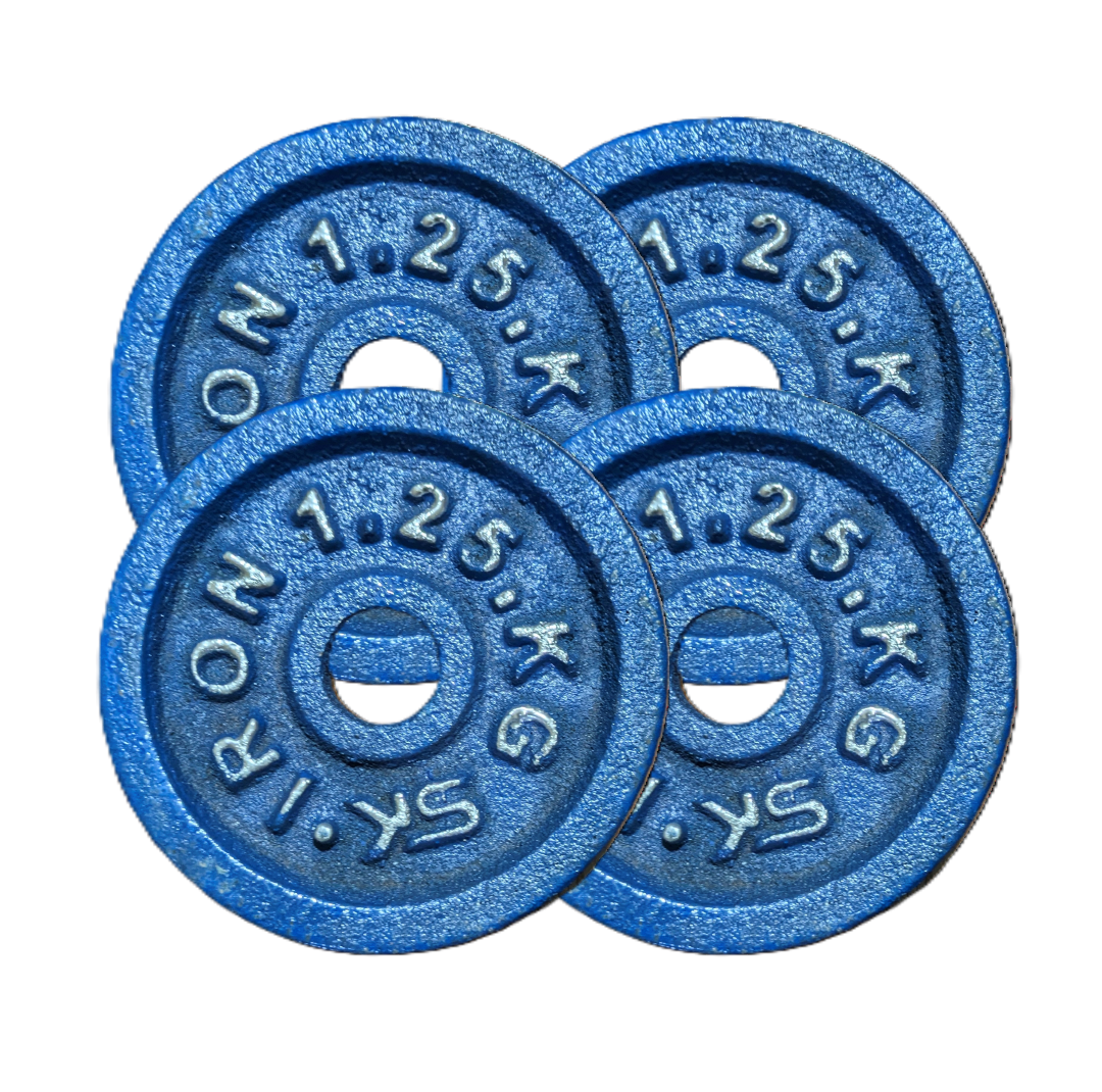 Picture of 1.25kg Dumbbell Plate 4 Pcs - Blue - Sports & Fitness