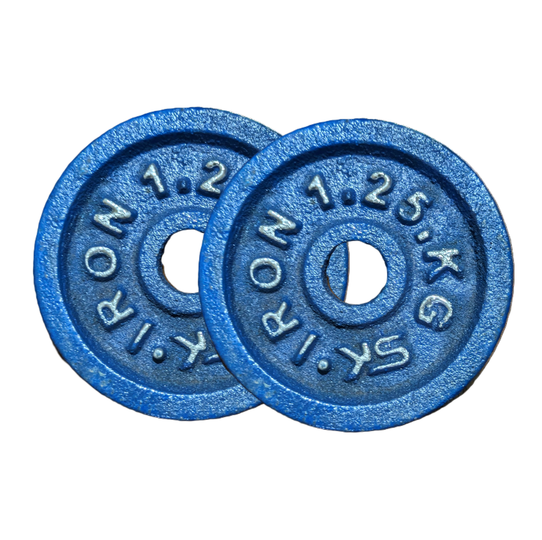 Picture of 1.25kg Dumbbell Plate 2 Pcs - Blue - Sports & Fitness