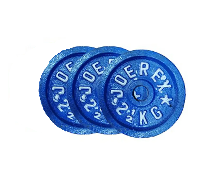 Picture of 2.5kg Dumbbell Plate 3 Pcs - Blue - Sports & Fitness