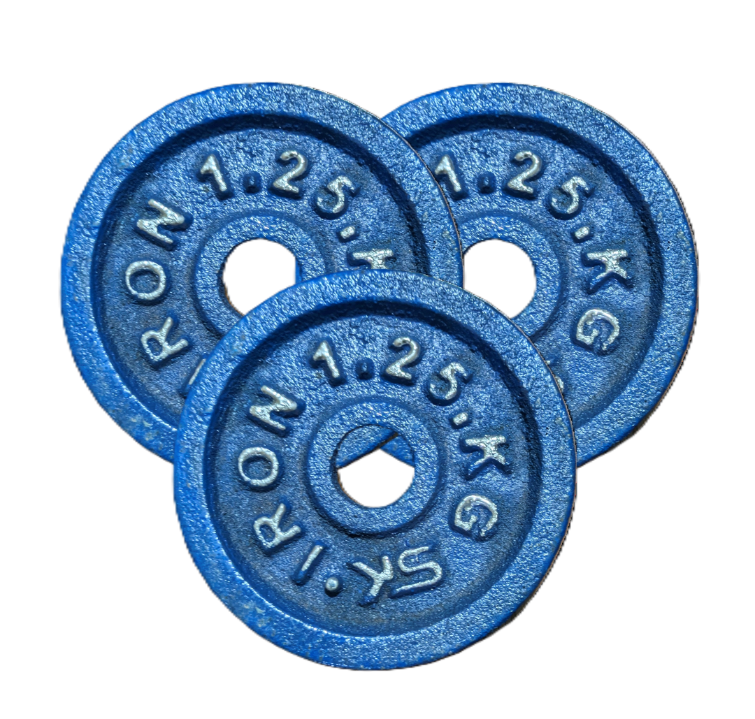 Picture of 1.25kg Dumbbell Plate 3 Pcs - Blue - Sports & Fitness