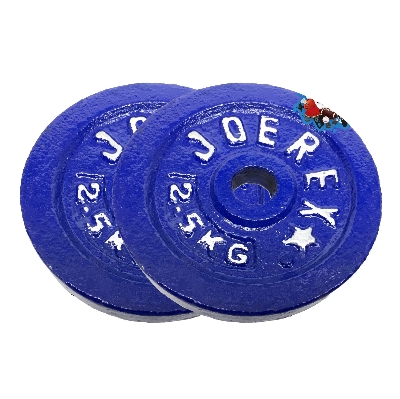 Picture of 2.5kg Dumbbell Plate 2 Pcs - Blue - Sports & Fitness