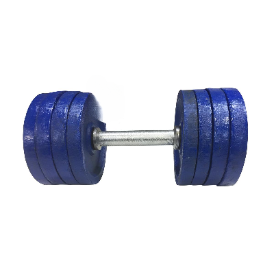 Picture of 10kg Dumbbell Plate 3 Pcs - Blue - Sports & Fitness