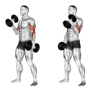 Picture of Total 5kg (2.5kg+2.5kg) Dumbbell Plate With 11inch stick - Sports & Fitness