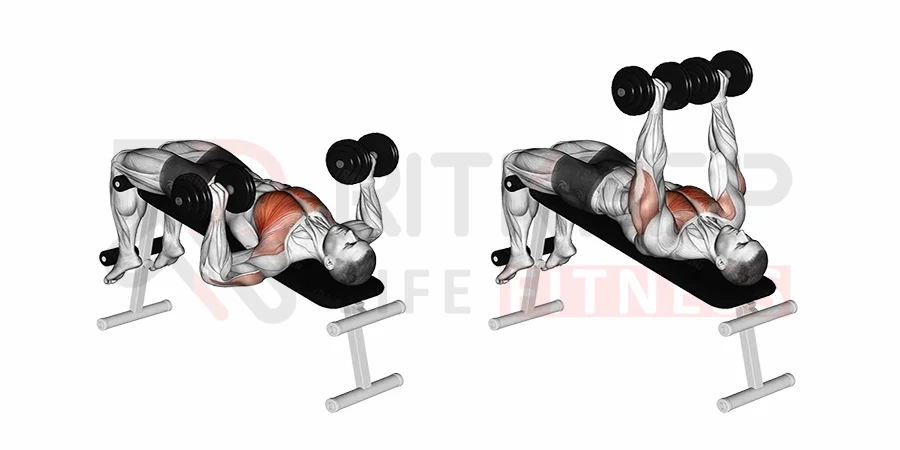 Picture of Total 5kg (2.5kg+2.5kg) Dumbbell Plate With 11inch stick - Sports & Fitness
