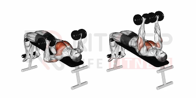 Picture of Total 5kg (2.5kg+2.5kg) Dumbbell Plate With 11inch stick - Sports & Fitness