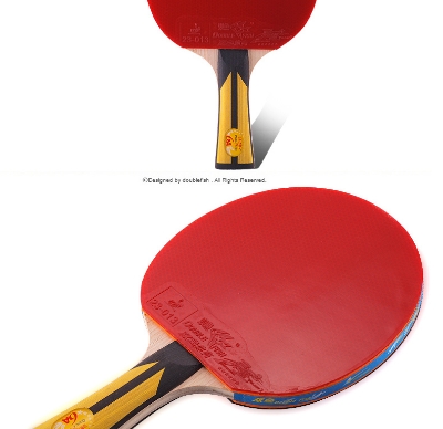 Picture of 1 pcs Table Tennis Bat Double Fish 6AC - Sports & Fitness