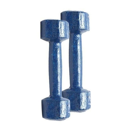 Picture of 4kg Bangla Dumbbell Blue 2pcs - Sports & Fitness