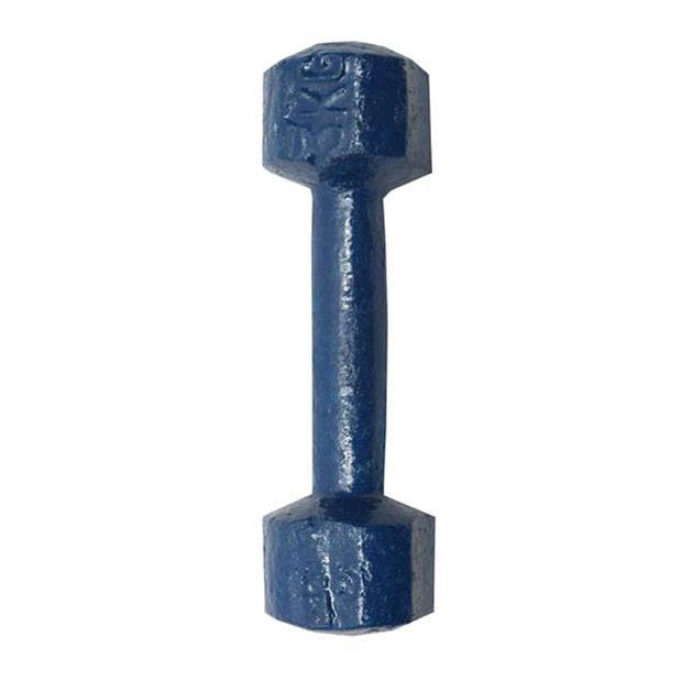 Picture of 1kg Bangla Dumbbell Blue 1pcs - Sports & Fitness